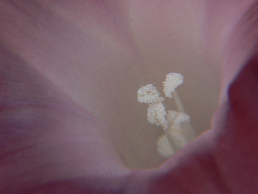 2004.11.1